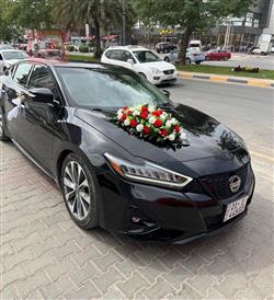 نيسان ماكسيما